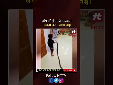 बेखौफ बच्चा सांप से खेलता हुआ आया नजर#viralvideo #video #shorts #hittvtoday