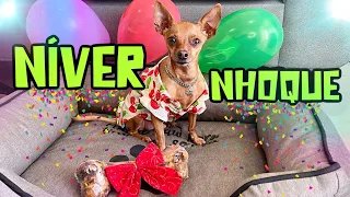 O PRESENTE DE ANIVERSÁRIO DO NHOQUE ✨🎉