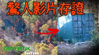 警察不敢相信自己在這個鐵皮屋看到的畫面影片存證｜真人真事