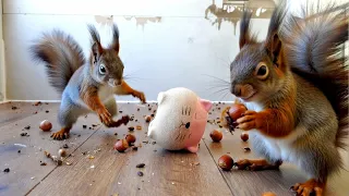 Squirrel's
