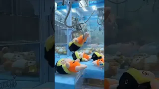 CAPITAN BONEKA LUCU DAN GEMOY , DAPET MISTERI BOX ⁉️ LABUBU⁉️