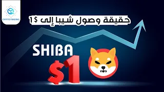 ما حقيقية وصول عملة SHIB  إلى الواحد دولار
