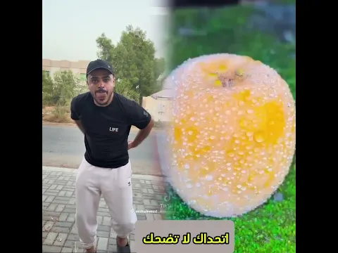#محمد #رامي #اكسبلور #ملخص