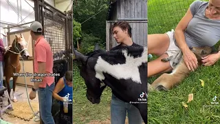 Horse Videos That Went Viral! #2