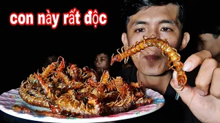Thử Bắt & Chiên Giòn 50 Con Rết Ăn Thử Kết Quả Khó Tin khi Ăn