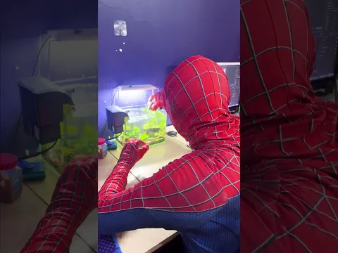 OhSpidey watching fish & poor Dwarf | SpiderMan real life #shorts