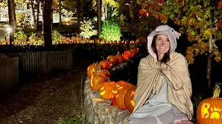 The Spookiest Walk: How to stay safe in the dark 