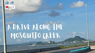 A Drive Along The Mosquito Creek