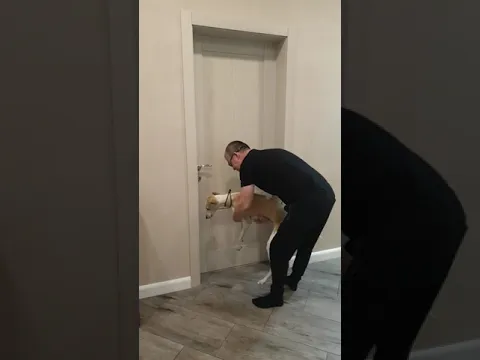 Best funny videos prank 49 by Misha and Tanya - dog #Shorts