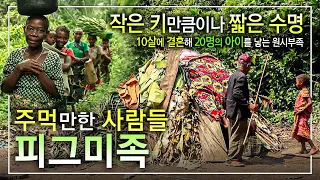 "어쩔 수 없죠, 신께서 저희를 작게 만드셨으니" 덩치 큰 부족에게 밀려난 숲의 유랑민, 하지만 누구보다 자유로운 영혼을 지닌 원시부족ㅣ주먹만한 사람들, 피그미 족│#골라듄다큐
