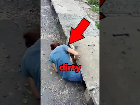 Animal Rescued From Sewer