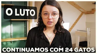 Oi, eu sou a Isa! E eu continuo tendo 24 Gatos.