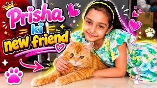 Prisha ke ghar aai cute cat 🐱😍