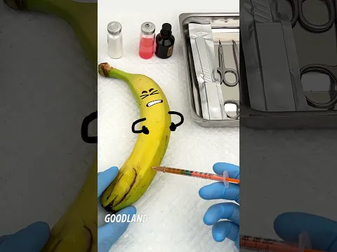 Why The Art of Fruit Surgery Will Change Forever With Saw Technology