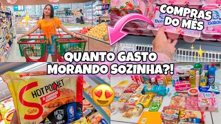 PRIMEIRA COMPRA DO MÊS MORANDO SOZINHA😍🛒 | Quanto gastei no total?! 🤑 + ORGANIZANDO TUDO!