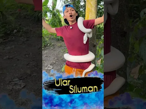 Adu Ular | KokoAdent