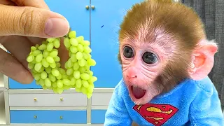 Bebé Mono BonBon vende helado arcoíris en el parque y huye de un animal - MONO BONBON ESP