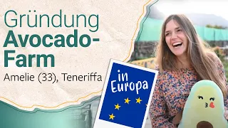 Avocado-Farm auf Teneriffa: Wie gründe ich im Ausland?