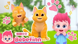 貓咪歌 😺 喵喵 The Cat Song 台灣配音 經典兒歌 童謠 | EP73 | 貝貝彬 Bebefinn 繁體中文
