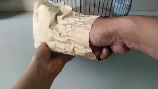 GAK HARUS PUNYA MURAI, CUKUP BURUNG INI AJA SUDAH BIKIN BAHAGIA