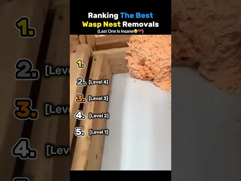 DON’T CHECK THE SOUND 💀💀