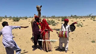 🔥 Shocking Desert Wedding Dance with Bride & Camel 🐪👰 | Real Village Celebration 🌵🎶