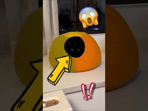 خذعتان بصريتان لن تصذق أنها حقيقيتان ،وآخر خذعة سوف تصذمك 😱