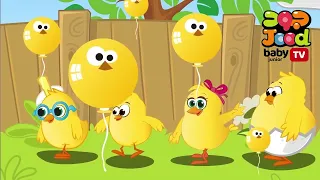 kids Song Those baby Chicks cute cute
