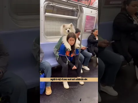 Newyork Metro #shorts #ytshorts