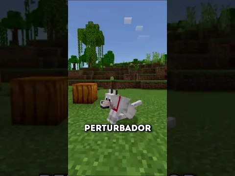 ESTO PASA SI DEJAMOS GRABANDO A UN PERRO DURANTE TODA LA NOCHE EN MINECRAFT! 😱🦮 #shorts