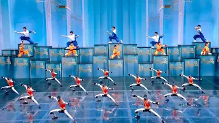 Martial arts robots dazzle at 2026 Spring Festival Gala #CoolChina #springfestival2026 #kungfu