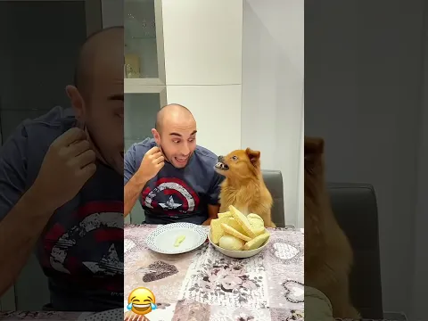 That awkward moment when your dog eats more of your food than you do. #pet #funny #dog #foryou #asmr
