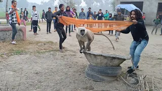 बंदर पकड़ने के लिए पुरे गाँव के लोग दौड़ पड़े और बंदर हमला कर दिया, देखें फिर क्या हुआ Monky Rescue!