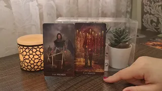 برج الجوزاء نوفمبر 💗 على راسك ريشة تصل بها إلى ما تحلم.. بالرغم من محاولات الاضرار بك