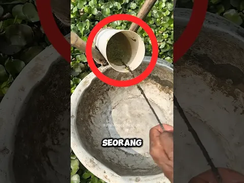 Awalnya Cuma Bersihin Pipa, Tapi Temuannya Bikin Merinding😱