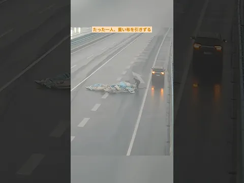 【感動実話】高速道路に落ちた巨大な布…たった一人の勇気が奇跡を起こす瞬間 🙏#感動 #実話 #優しさ #ヒーロー #高速道路 #奇跡