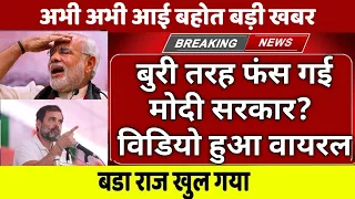 din bhar ki khabar | news of the day, hindi news india |top news | Bharat jodo yatra  ​