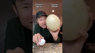 $0.15 vs $35 Egg 🥚