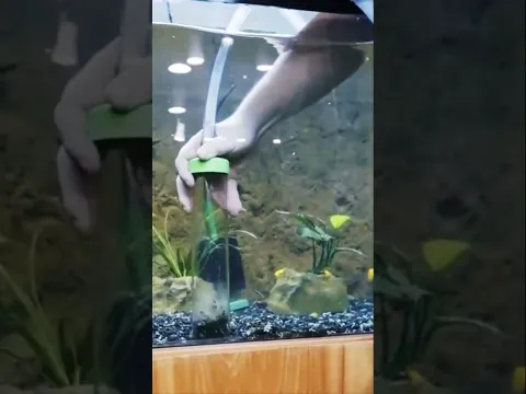 Two tips to clean your aquarium gravel.