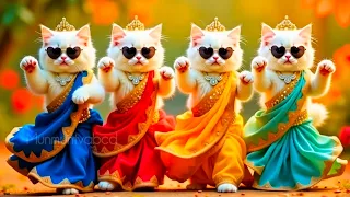 बिल्ली का डांस वीडियो | Cat videos | funny cat dance 😻💃| Videos for cats billi dance | #dancingcat