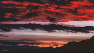 تلاوة شجيه لاتوصف عطر مسامعك | علي راشد