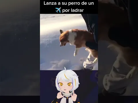 Lanza a Su Perro de un Avión