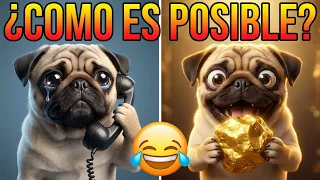¿Cómo es posible? El perrito encontró ORO real 😱💰