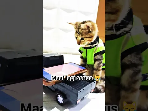 Lagi serius