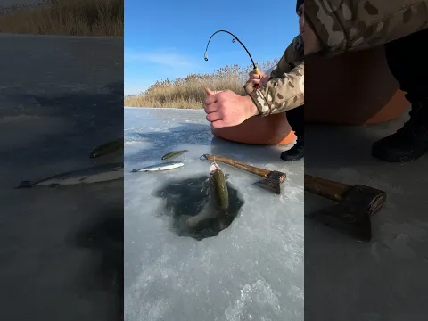 Зимняя рыбалка 😍