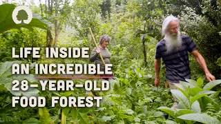 This Couple Live in an Abundant 28-Year-Old Food Forest