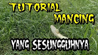 Tutorial Mancing Yang Sesungguhnya