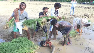 धान के रोपनी सूरदास किया हंगामा | भौजी लगावे लेव | चिरकुट बाबा के टूटा जनेऊ | Khesari 2 comedy