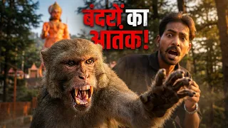 Solan to Shimla: टॉय ट्रेन का सफ़र और Jakhoo Temple के खतरनाक बंदर! 🚂🐒🙏