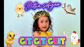 " Ditha Sofyan " CITCITCUIT  (Official Music Video)